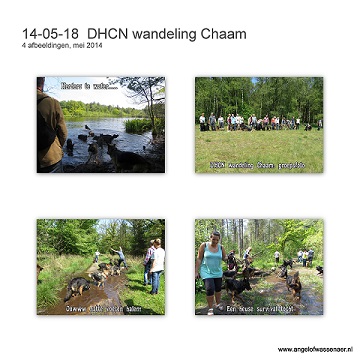 DHCN wandeling te Chaam is een heuse survivaltocht